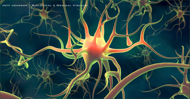 neurons Neuron breakthrough offers hope on Alzheimer’s and Parkinson’s