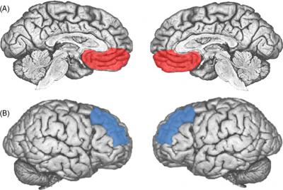 neuroscience of jazz