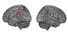 spiritual centers of the brain