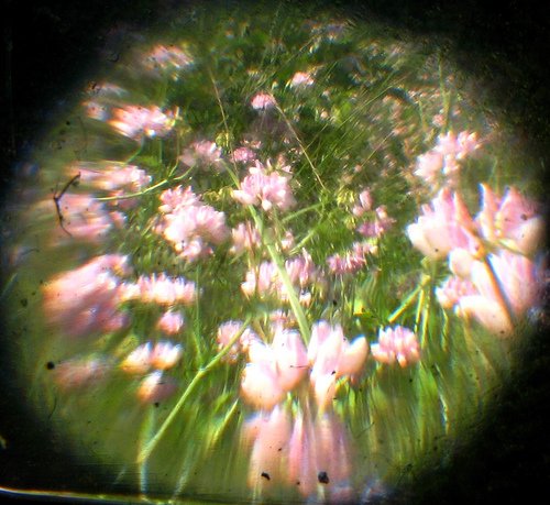 Photography, memory, and mental models by Kevin Dooley