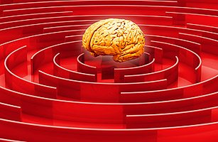 brain train brain train
