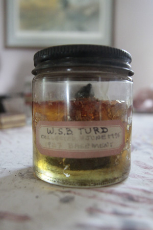 burroughs turd Bioart Project Seeks to Extract, Copy and Spread William S. Burroughss DNA   From a Preserved Turd