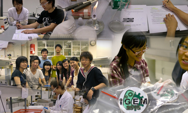 encrypted bacterial storage Hong Kong Group Building Encrypted Bacterial Data Storage