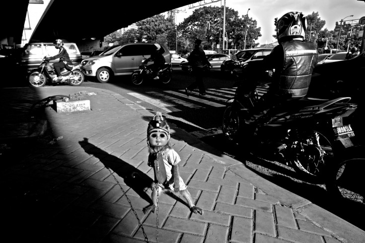 masked monkey The Masked Monkeys of Indonesia