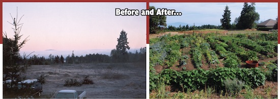 Becker Farm becker farm 550 Jail Time for Gardening in Canada