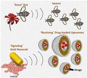 Nanoparticles and insect swarms Nanoparticles and insect swarms